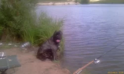 IMAG0555.jpg