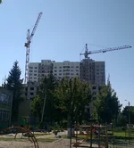 IMAG0299.webp