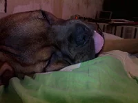 01052012122.webp