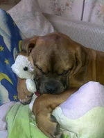 25042012092.webp