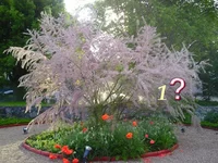 p01.webp