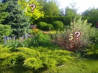 p03.webp