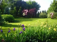 p04.webp