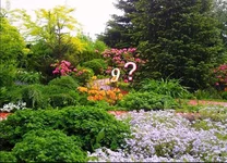 p06.webp