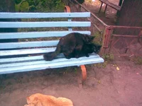 05072010.webp