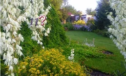 p08.webp