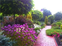 p10.webp