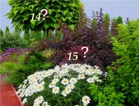 p11.webp