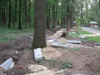  первый забор 8.webp