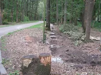  первый забор 9.webp