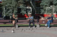 08226428_хачи.webp