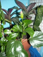 DSCN3067.JPG