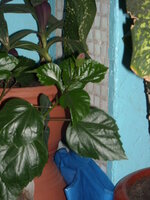 DSCN3071.JPG