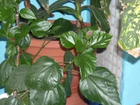 DSCN3128.JPG