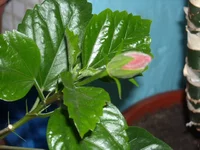 DSCN3129.JPG