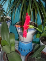 DSCN3197.JPG