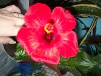 DSCN3198.JPG