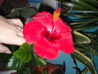 DSCN3199.JPG