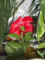 DSCN3200.JPG