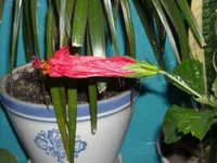 DSCN3212.JPG