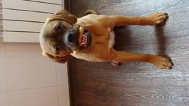 DSC05430.webp