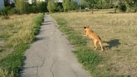 DSC05633.webp