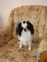 DSC07315.JPG