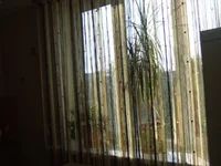 DSCF9268.webp