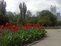 Фото0v8.jpg