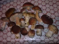 25082012252.jpg