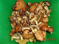 DSC03895.JPG