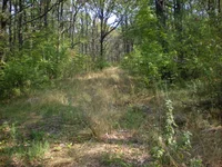  095.webp