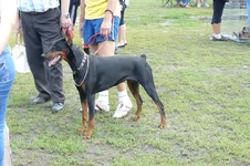 P1100339.webp
