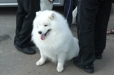 P1100350.webp