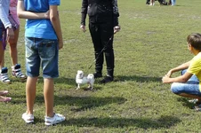 P1100325.webp