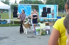 P1100386.webp