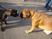 DSC06440.JPG