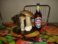 125.jpg