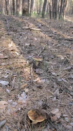  размера Поворот IMG_1657.webp