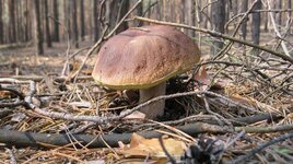 Изменение размера IMG_1661.JPG