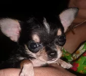 SAM_5608.webp