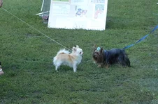 P1100416.webp