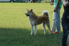 P1100420.webp