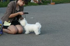 P1100448.webp