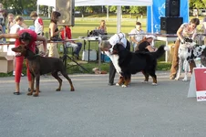 P1100454.webp