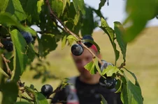 IMGP6424.webp