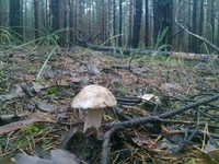 29082012279.jpg