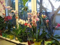 Изменение размера Реэкспонирование IMG_0614.JPG