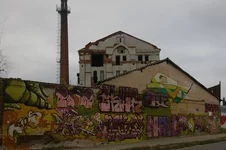 IMGP6245_1100.webp