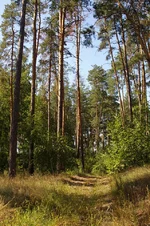 IMGP6524.webp
